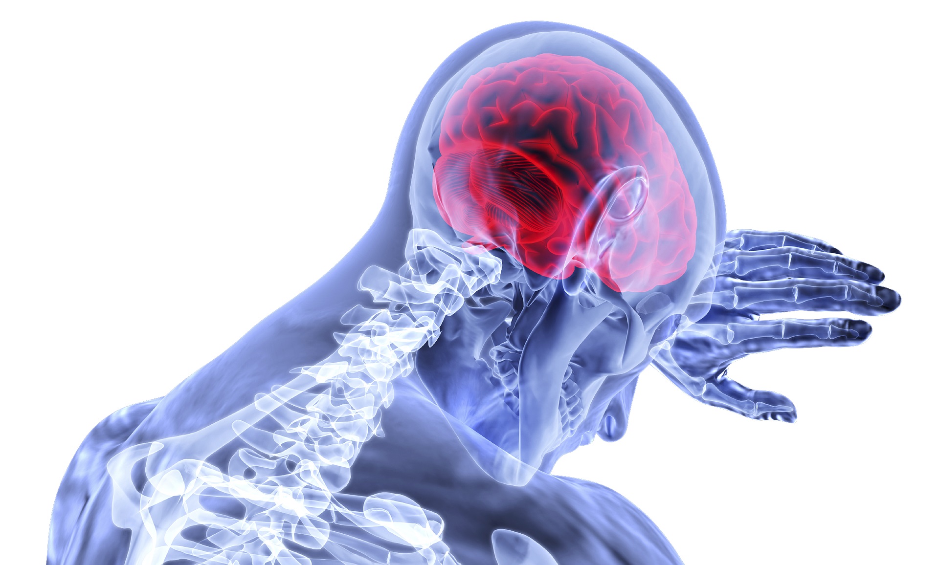 Read more about the article Brain Inflammation: An Overlooked Component of Mental Health