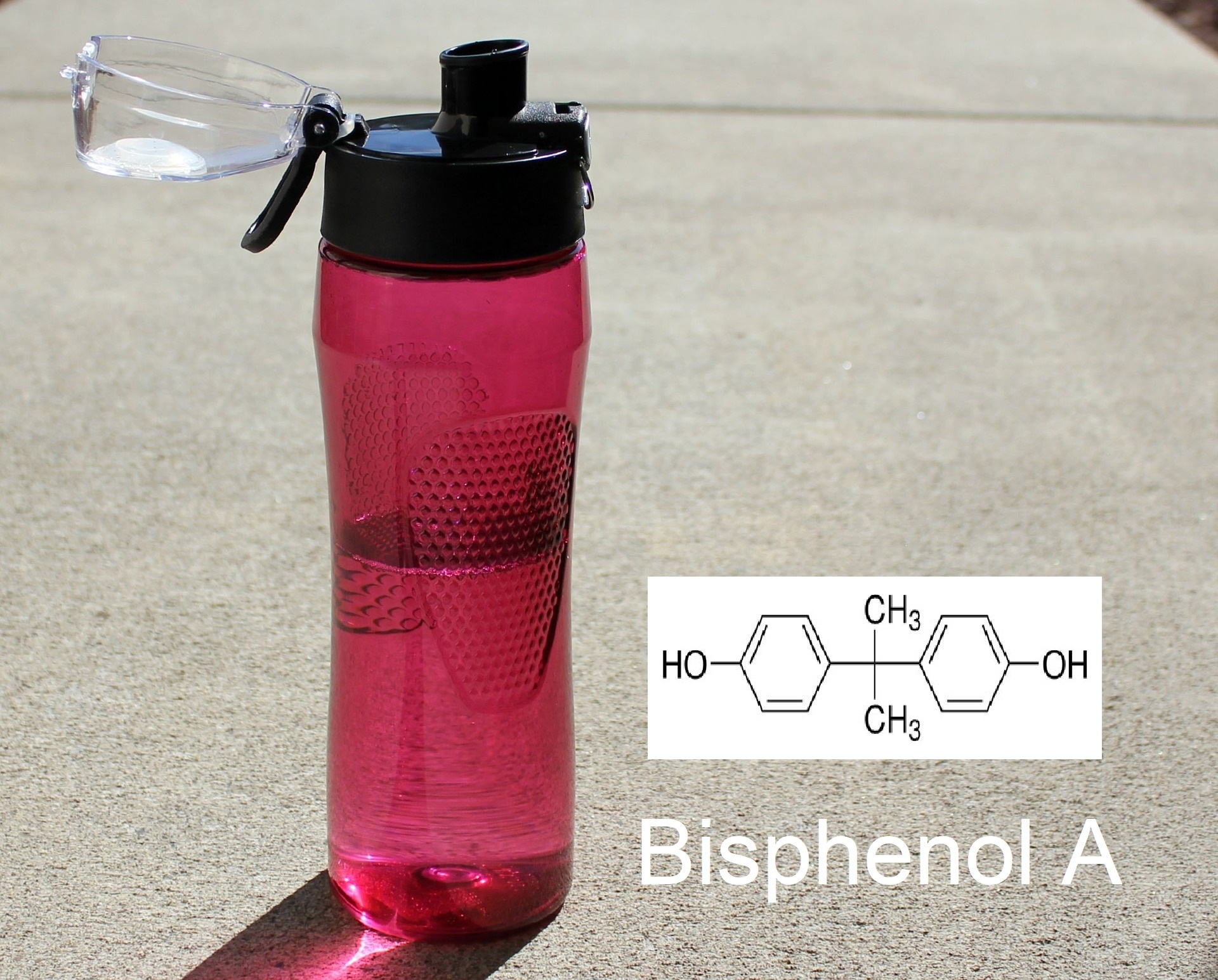 Read more about the article BPA and BPA-Free Plastics: What Are the Concerns?