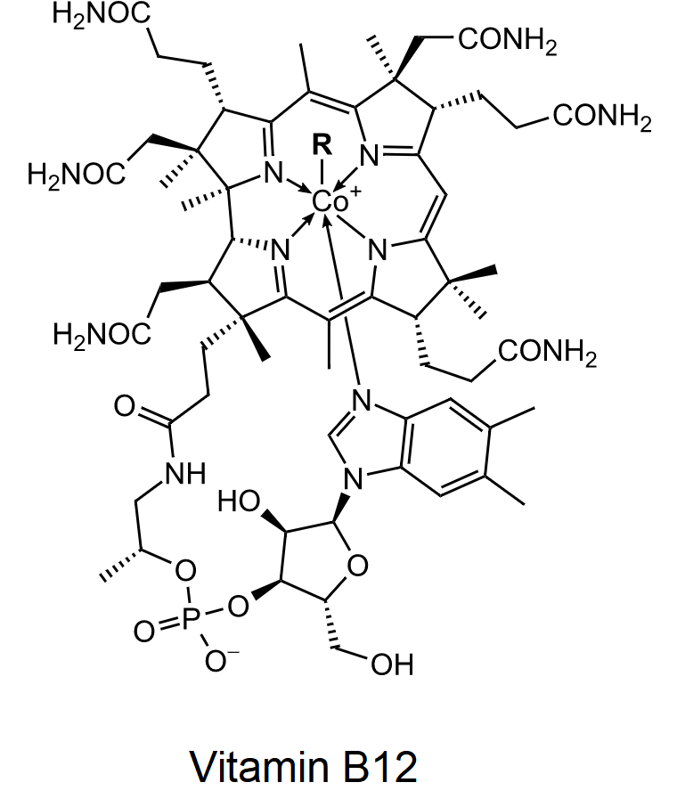 Read more about the article Vitamin B12 for Pain