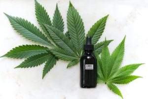 Read more about the article Cannabidiol (CBD): What Does the Latest Research Suggest?