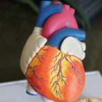 Cholesterol and Heart Disease