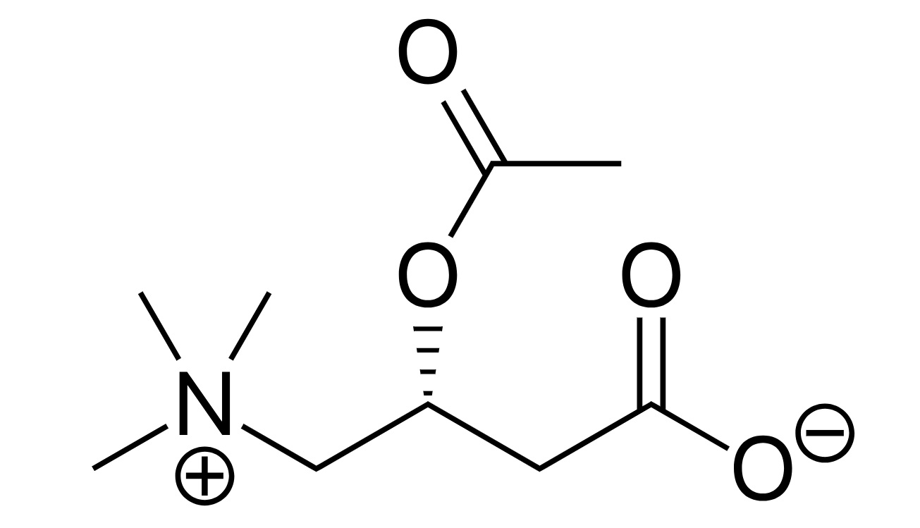 AcetylLCarnitine and Mental Health Buesing Naturopathic