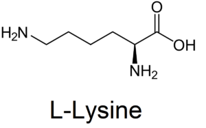Read more about the article L-Lysine: A Potential Treatment for Anxiety