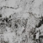 Dampness, Mold and Water-Damaged Buildings