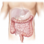 Small Intestinal Bacterial Overgrowth (SIBO) Treatment