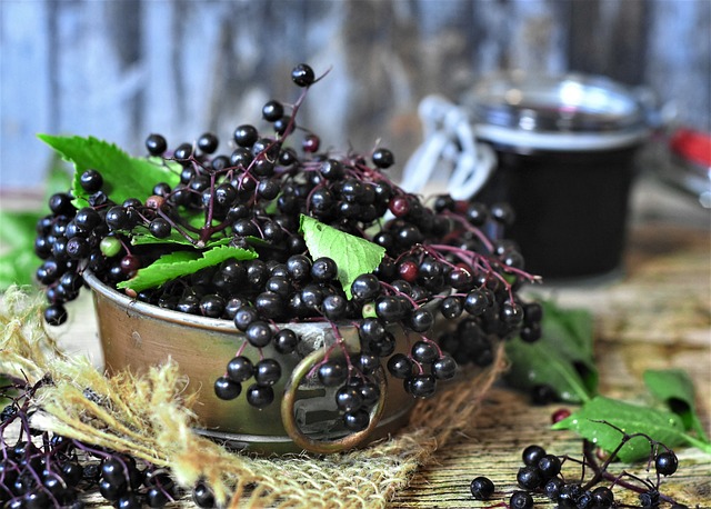 Read more about the article Elderberry for Treating Colds and Flu