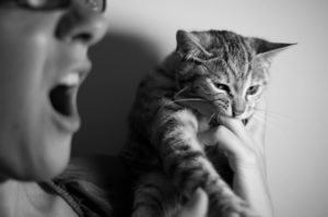 Read more about the article Bartonella and Cat-Scratch Disease: a Potential Relationship with Mental Health