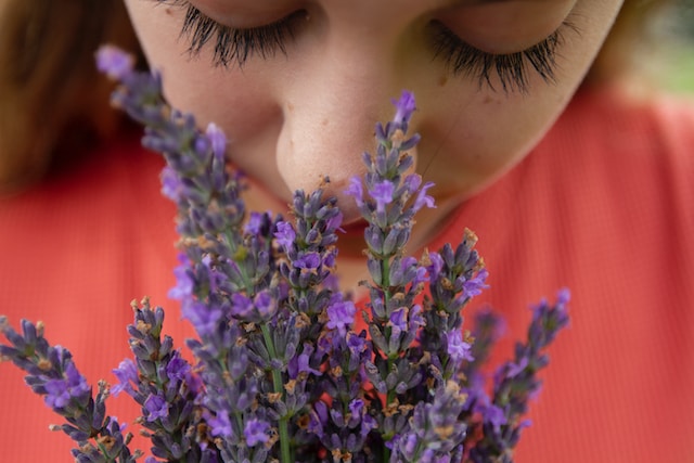 Read more about the article The Complex Interplay Between Smell and Memory